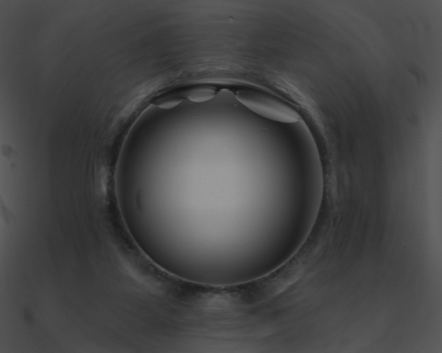 X0000090970115200708021446