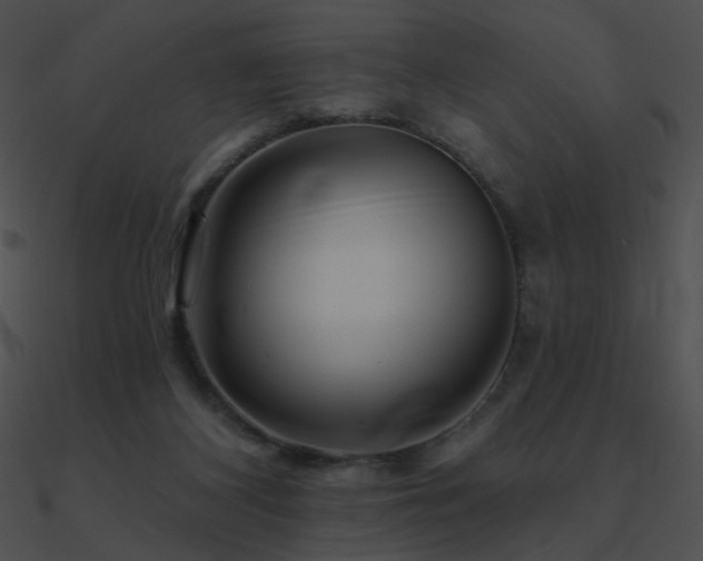 X0000090970116200708021446