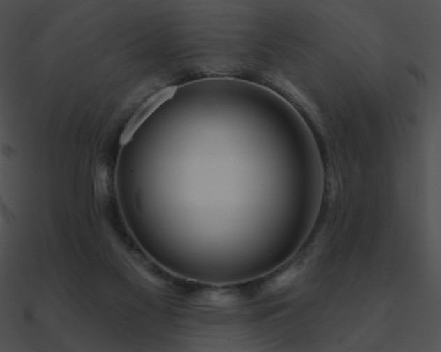 X0000090970117200708021446