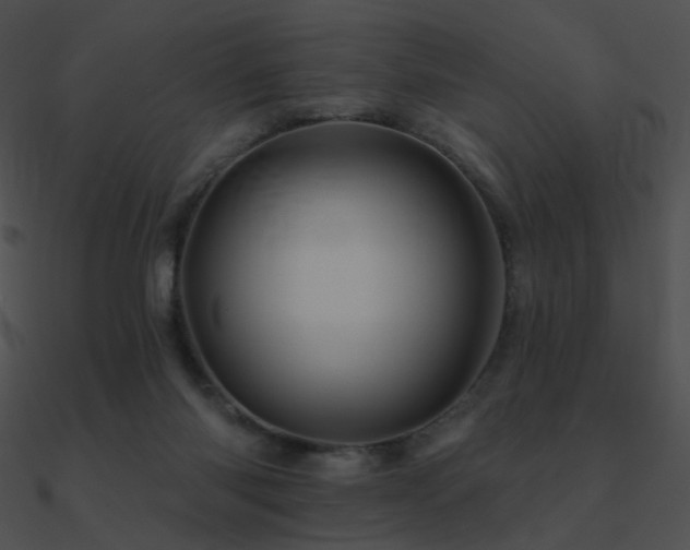 X0000090970118200708021446