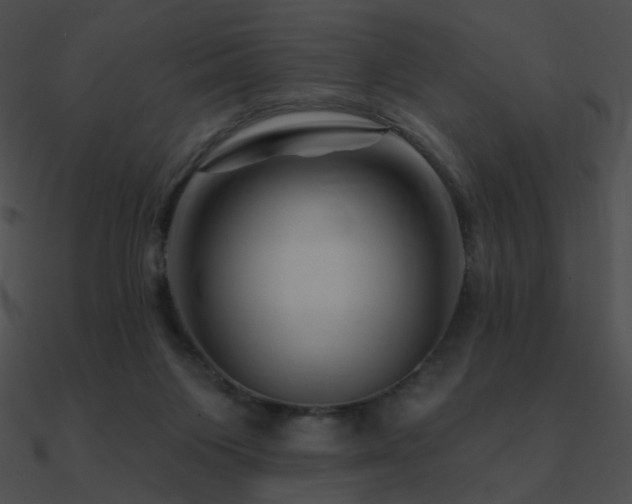 X0000090970119200708021446