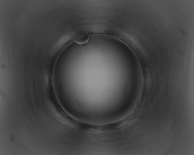 X0000090970120200708021446