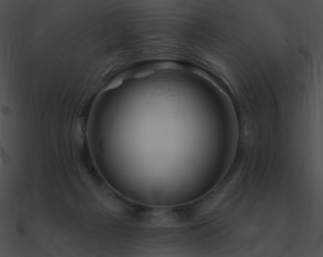 X0000090970121200708021446