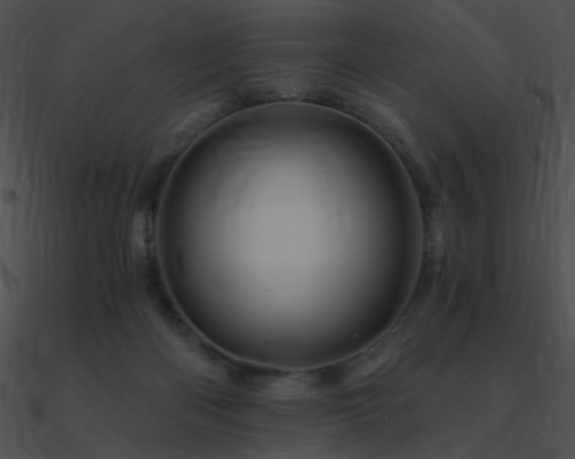 X0000090970122200708021446