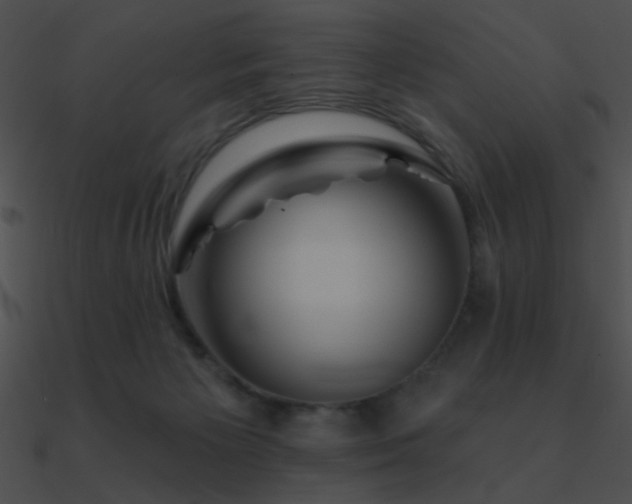 X0000090970125200708021446