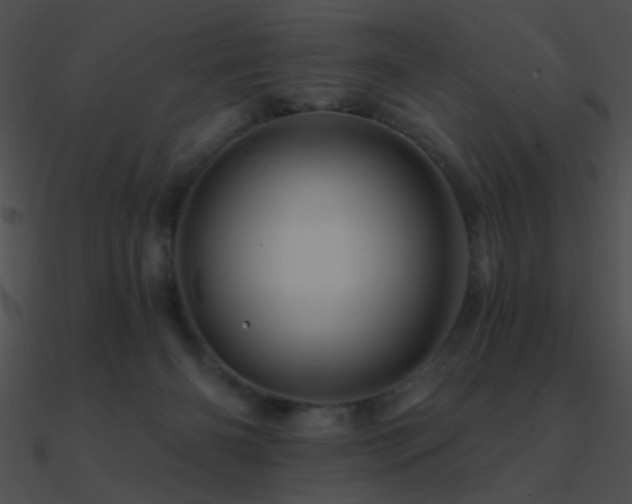 X0000090970126200708021446