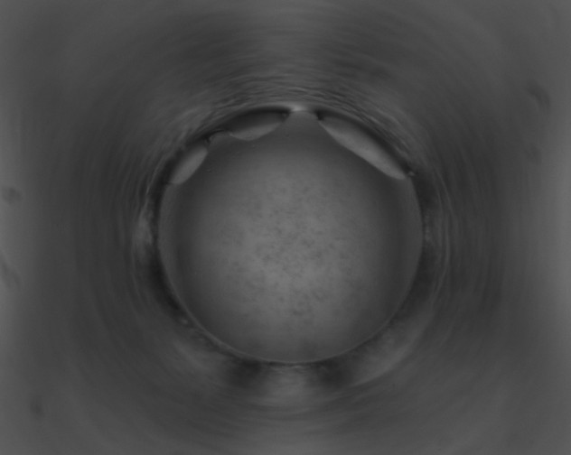 X0000090970127200708021446