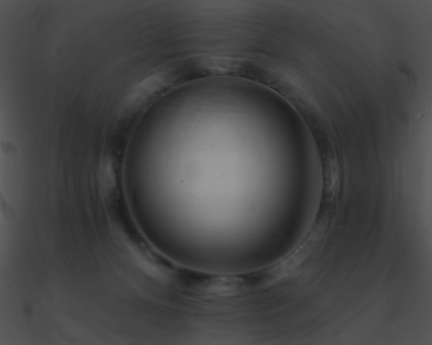 X0000090970128200708021446