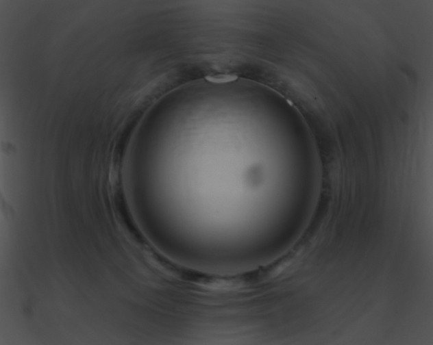 X0000090970129200708021446