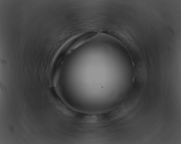 X0000090970131200708021446