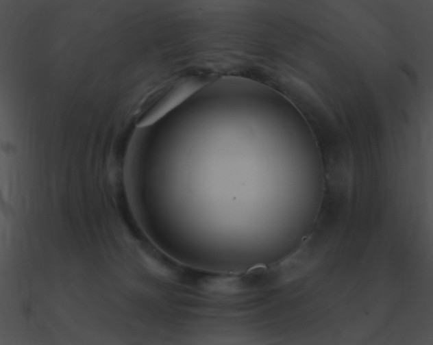 X0000090970132200708021446