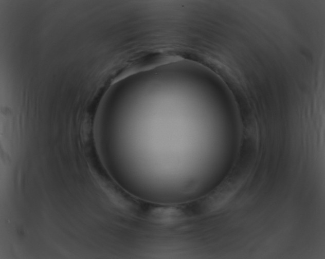 X0000090970133200708021446