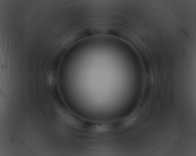 X0000090970134200708021446