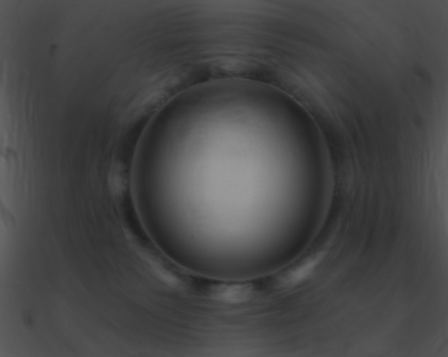 X0000090970135200708021446