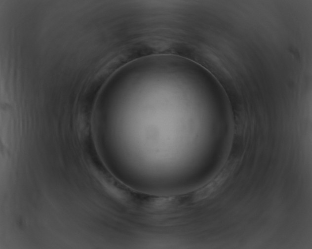 X0000090970136200708021446