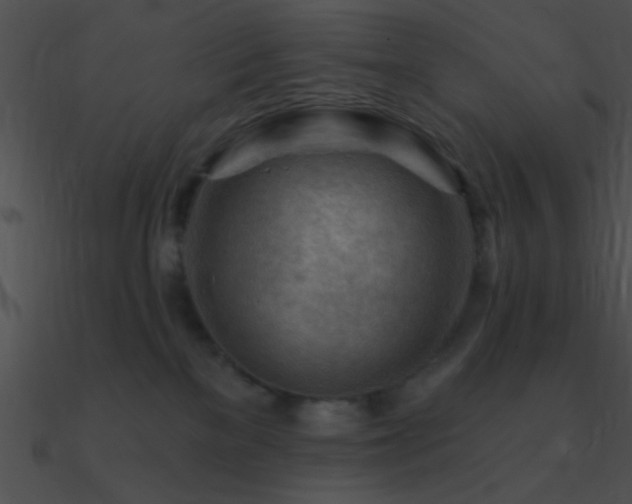 X0000090970137200708021446