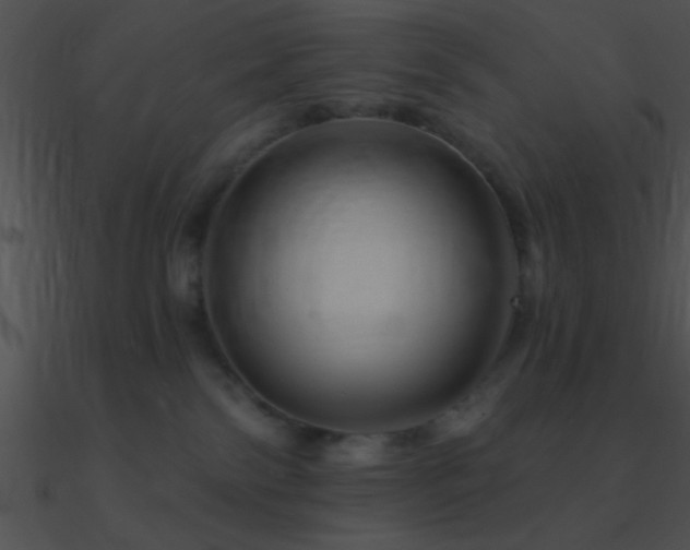 X0000090970138200708021446