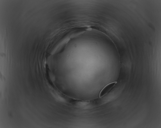 X0000090970139200708021446