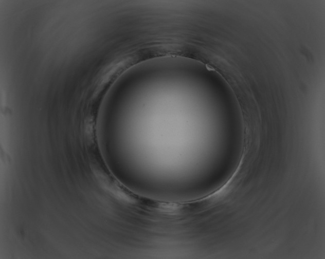 X0000090970144200708021445