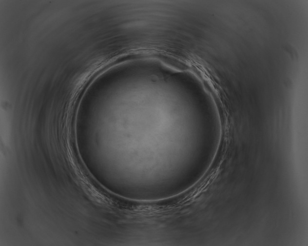 X0000090970145200708021445