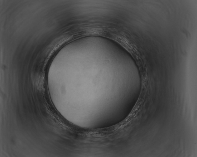 X0000090970146200708021445