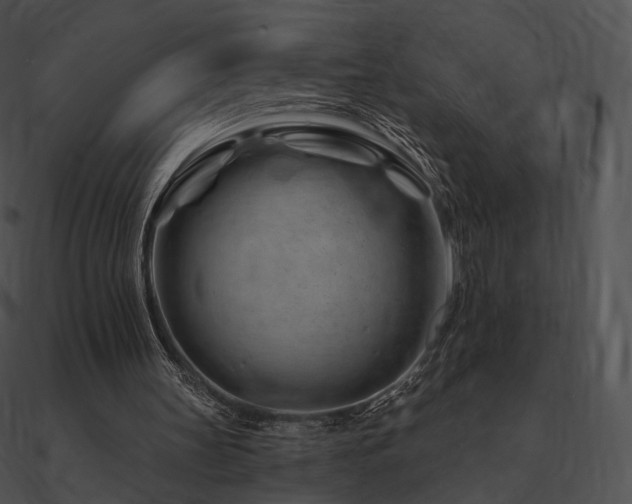 X0000090970147200708021445