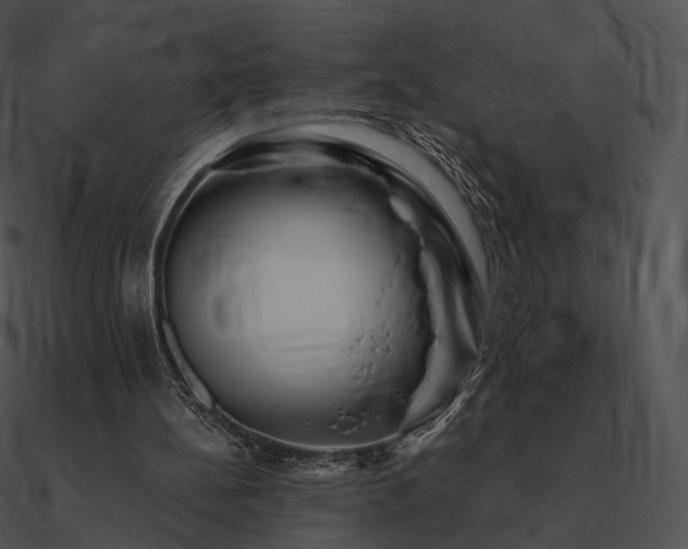 X0000090970148200708021445