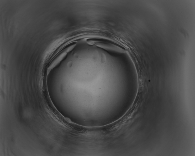 X0000090970149200708021445