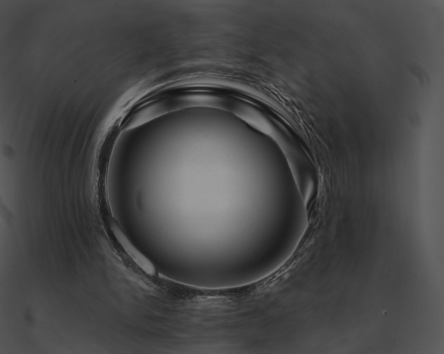 X0000090970150200708021445