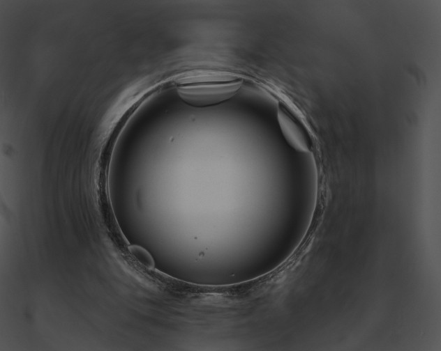 X0000090970151200708021445