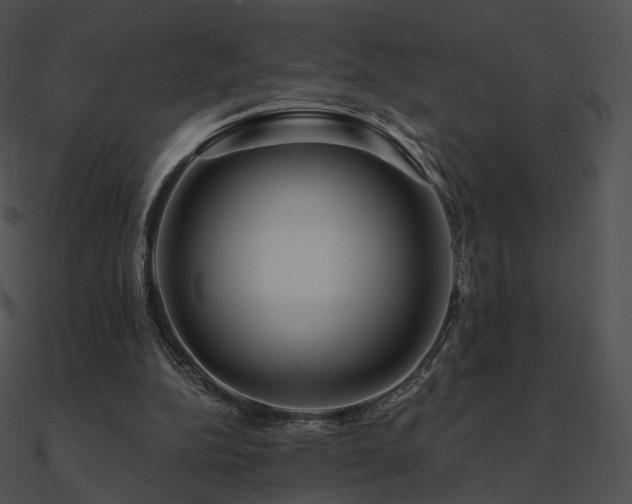 X0000090970152200708021445