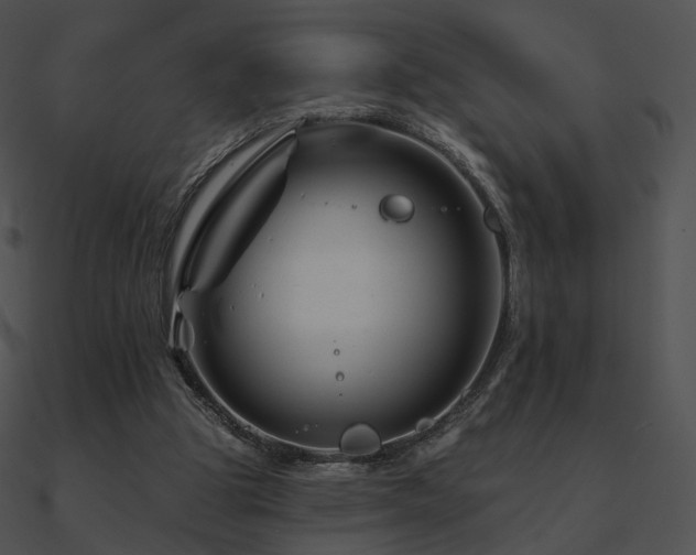 X0000090970153200708021445