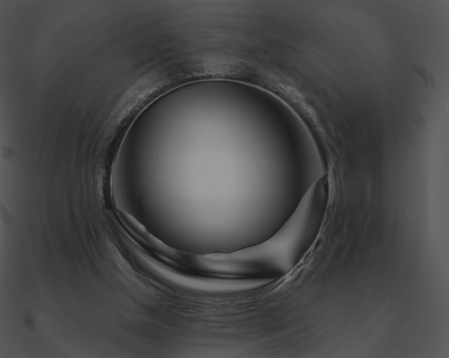 X0000090970154200708021445