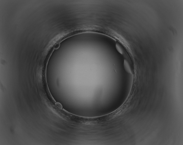 X0000090970155200708021445