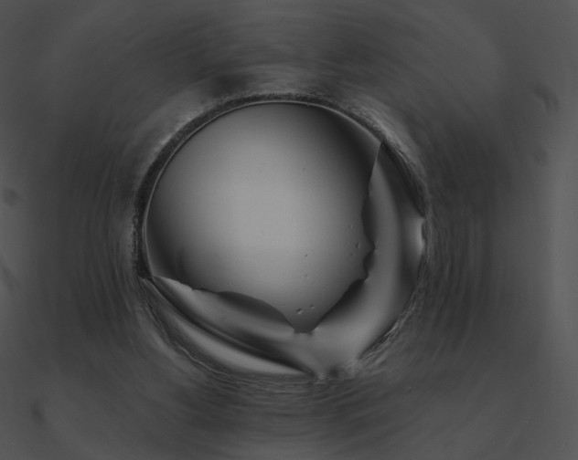 X0000090970156200708021445