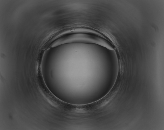 X0000090970157200708021445