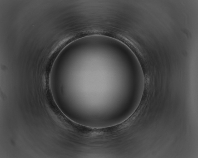 X0000090970158200708021445