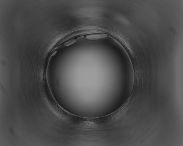 X0000090970159200708021445