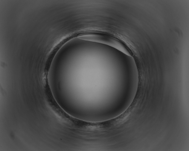 X0000090970160200708021445