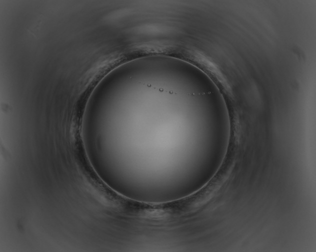 X0000090970161200708021445