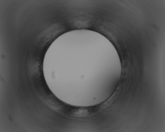 X0000090970162200708021445