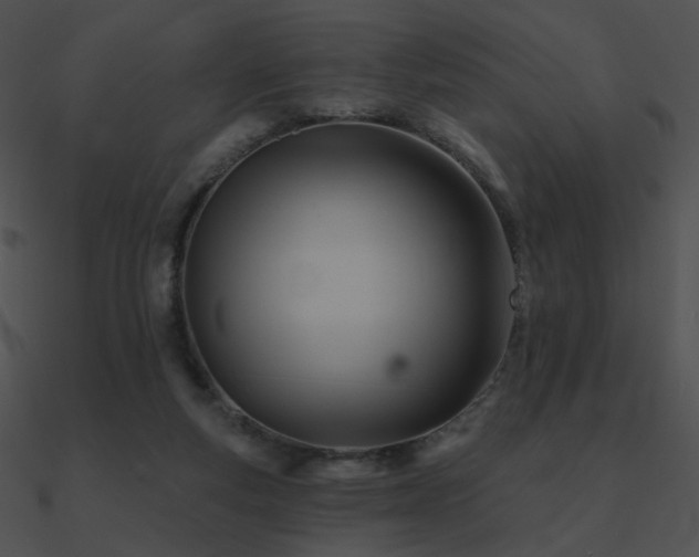 X0000090970163200708021445