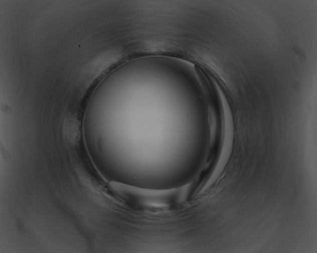 X0000090970164200708021445