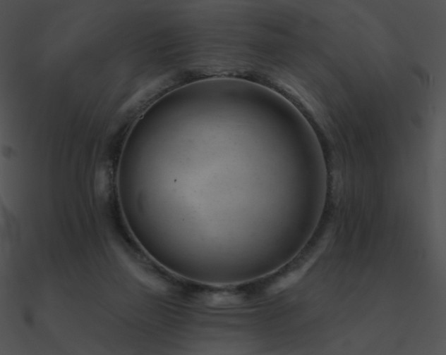 X0000090970165200708021445