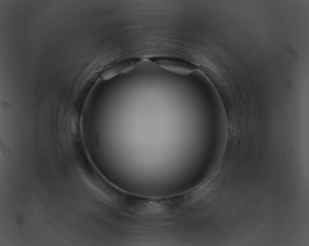 X0000090970166200708021445