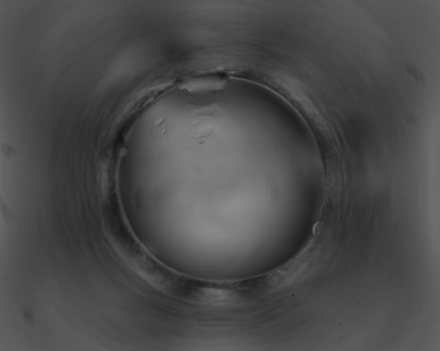 X0000090970167200708021445