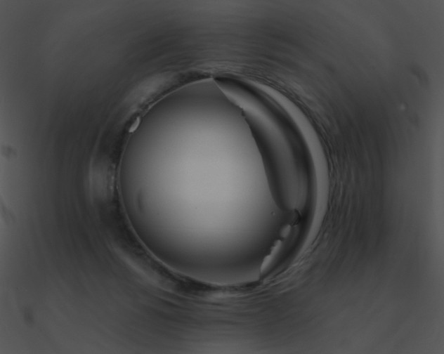 X0000090970168200708021445