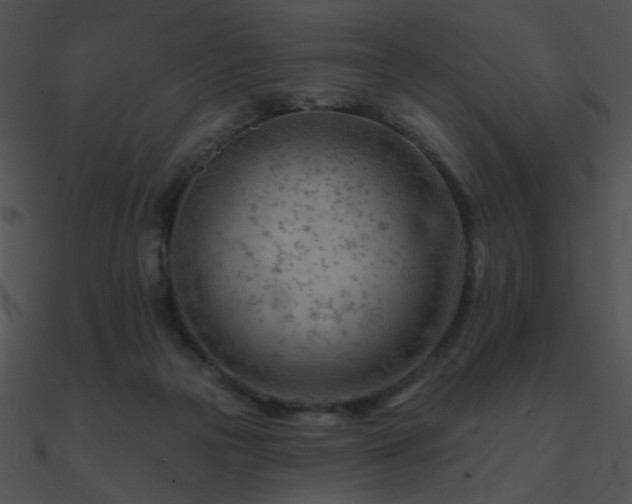 X0000090970169200708021445