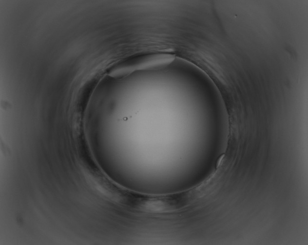 X0000090970171200708021445