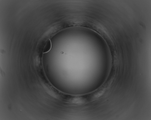 X0000090970173200708021445